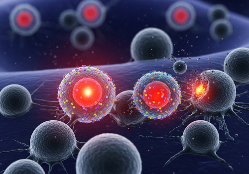 سلول‌های ‘قاتل طبیعی’ تقویت‌شده می‌تونن به ایمونوتراپی سرطان آماده مصرف منجر بشن
